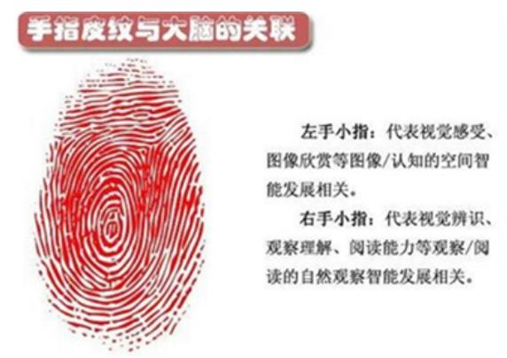女人手上几个斗最好,九个斗的女人一生好命
