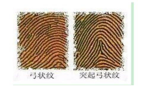 女人4个斗代表什么 多才多艺耐力非凡