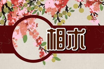 鹰钩鼻的面相解析 缺乏亲切感的面相
