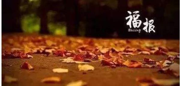 一条斜线将感情与智慧线相连 一个女人有反抗线好不好