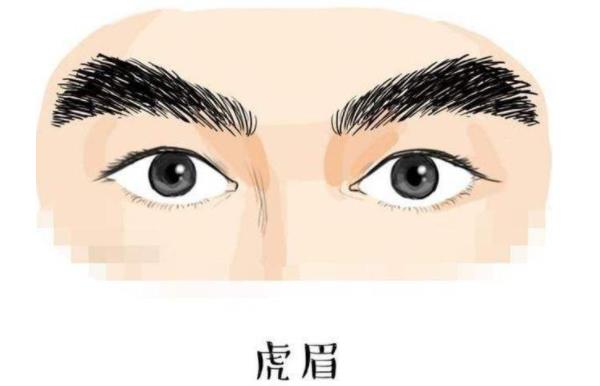 看相耳朵算命图解 哪种小耳朵有福气