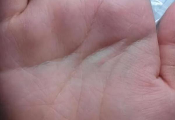男人开运眉和聚财眉 柳叶眉象征有贵人扶持