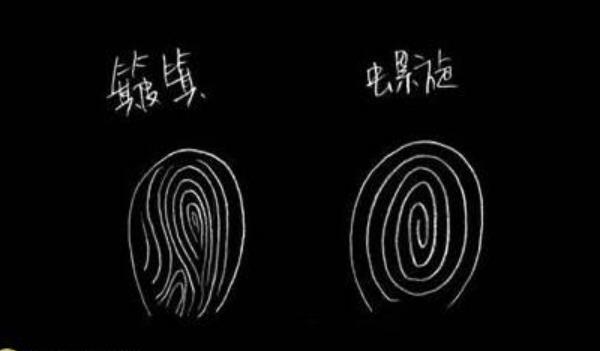 耳朵富贵相图片有福气 耳相尖挺常富贵盈门