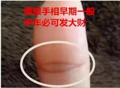 智慧线中间分叉向下 中间分叉将来必出人头地