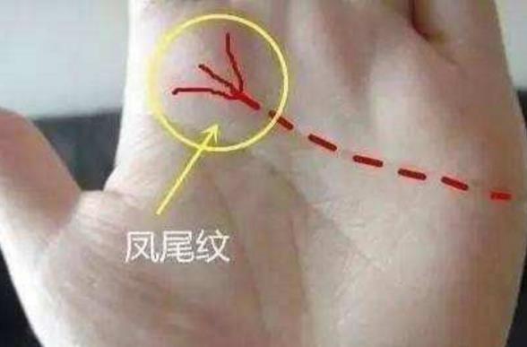 虎眉和扫帚眉区别 家财万贯财运兴旺