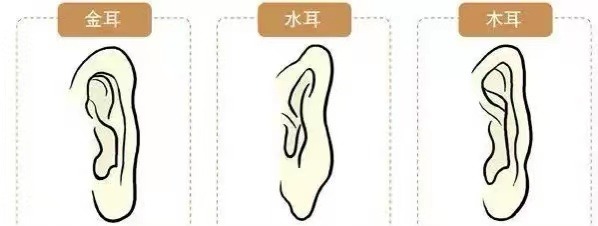 智慧线末端分三叉凤尾 很直分三叉抗压能力强