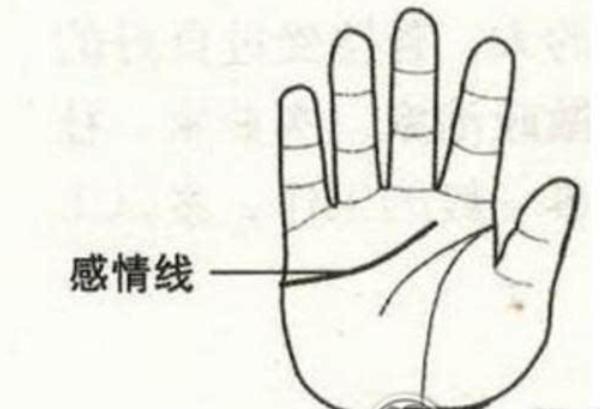 女人手相很少有元宝纹 女人拥有元宝纹做事非常顺利