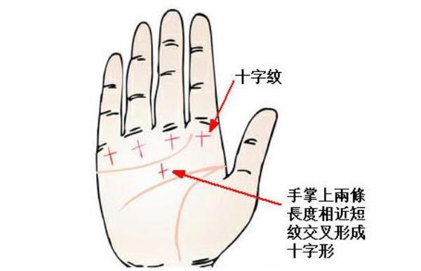 男人大富贵手相 井字纹或十字纹非富即贵