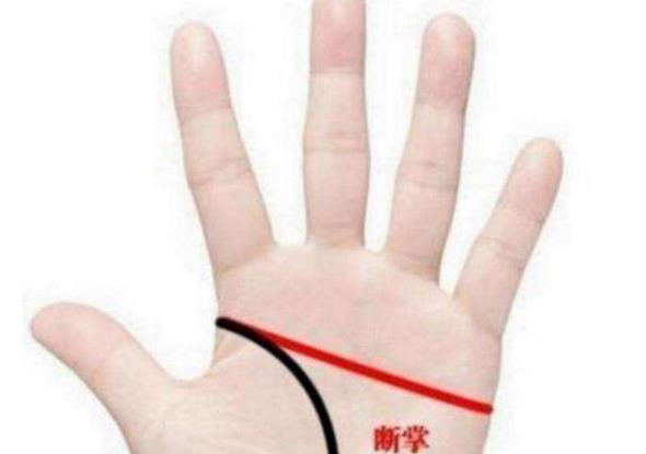 短掌纹有代表什么意思 不同纹线都代表着什么