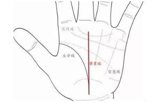男人左手手掌纹路图解,看看你的命运如何