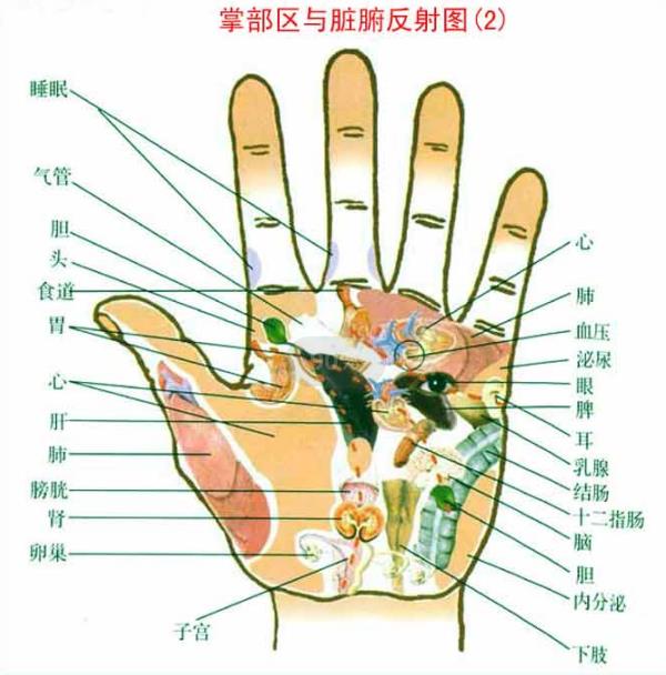 三种命不好的手纹 没有神门穴的人命不好