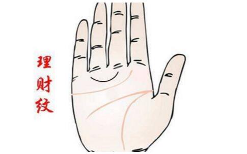 女生右掌纹4条线图片 婚姻线朝上表示积极趋势