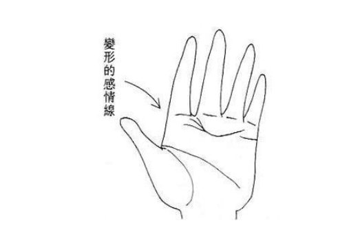 手掌心纹路多代表什么 命运好不好