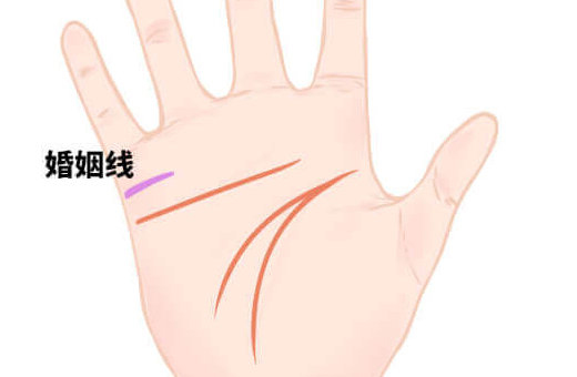 真正的断掌是什么样子 大多领导人具有断掌纹