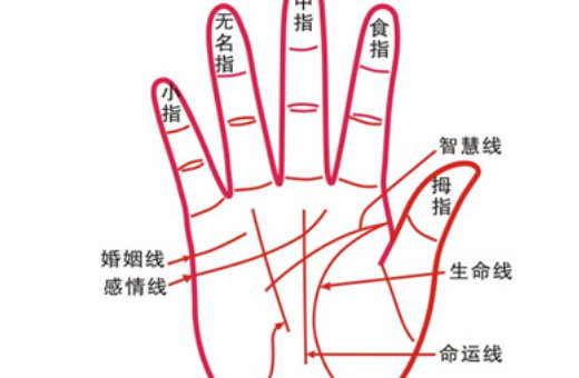 短掌纹有代表什么意思 不同纹线都代表着什么