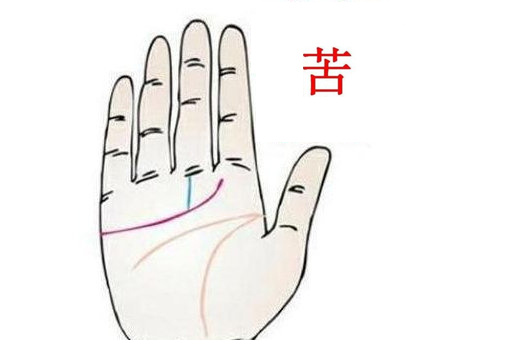怎么看手掌纹看命运 事业上升突飞猛进能够聚财