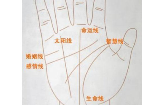 如何判断是不是凤尾纹 有凤尾纹的女性是天生的富贵命