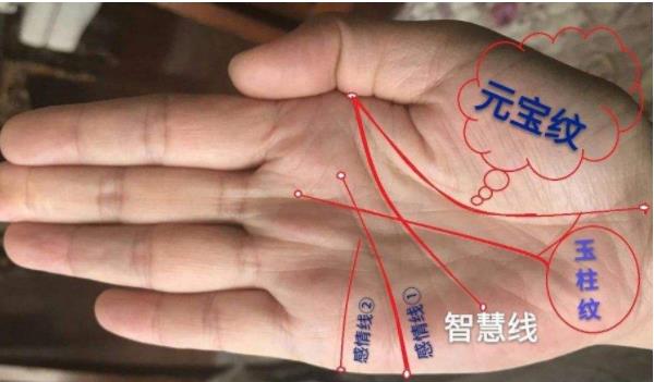 “手上三条玉环纹，人生福禄寿进门”的象征意义？是真的吗？ ...