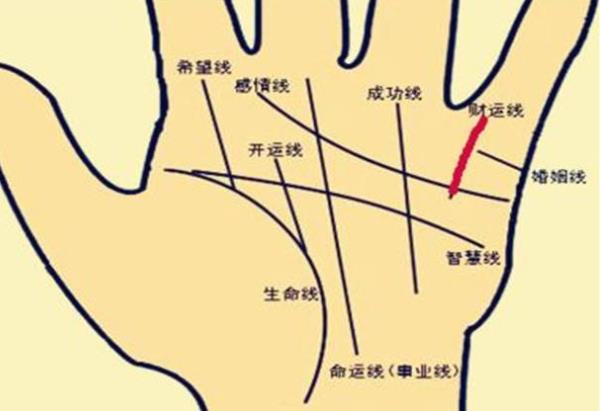 5条手纹最好命 无名指贵人纹机遇多