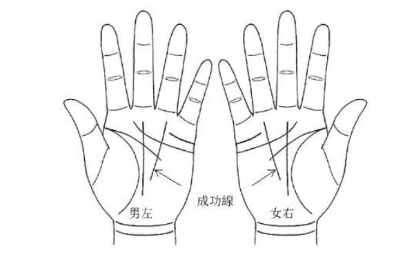 一只手两条断掌纹 断掌纹的常见的四种类型