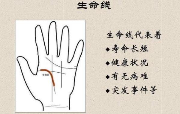 有三条贵人纹的手相 凤眼纹手相的人一生吃穿不愁