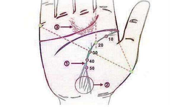 女性手掌纹路图解大全 星形纹遇贵纹从字纹解析