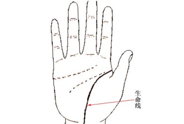 男人手相大全掌纹 男人手中拥有钱财纹理财能力强