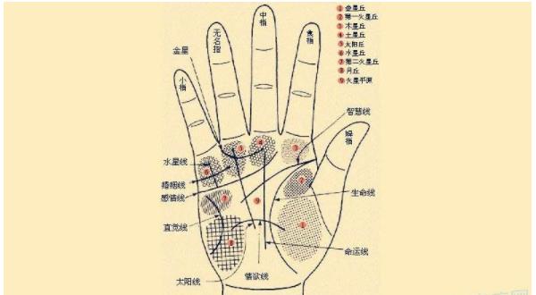 女人两手m纹手相好不好 女人有m纹可旺夫