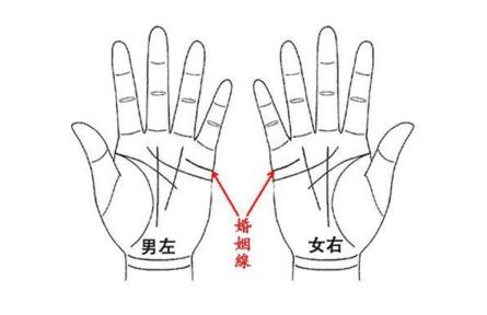 佛说断掌纹的女人 左手断掌女人适合晚婚吗