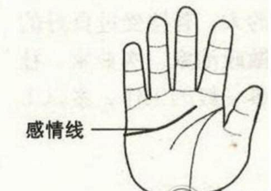 什么样的手相大富大贵效果图 手有钱财纹来富旺运
