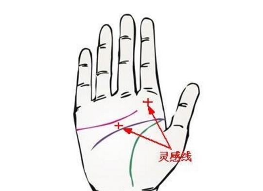 手上有断掌纹代表什么 责任心强工作能力强