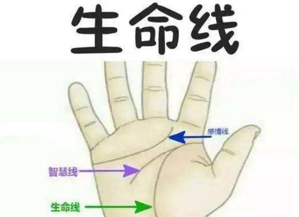 三奇纹手相图片 吉祥好运常在身边眷顾