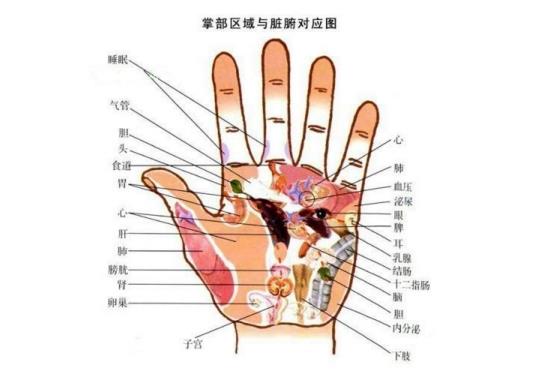 川字纹双手掌的女人命运 女人双手有川字纹有福气