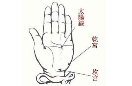 手掌心有大三角纹图片 事业发展出色财运水平上升
