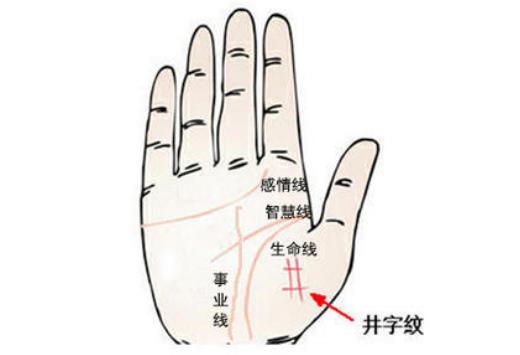 佛眼纹手相 好运来临品行正