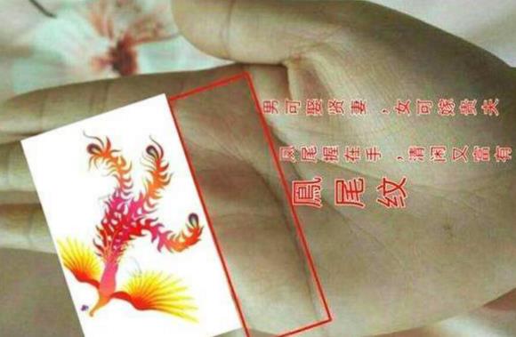 女人3大苦命手相图片 掌纹复杂命运多舛