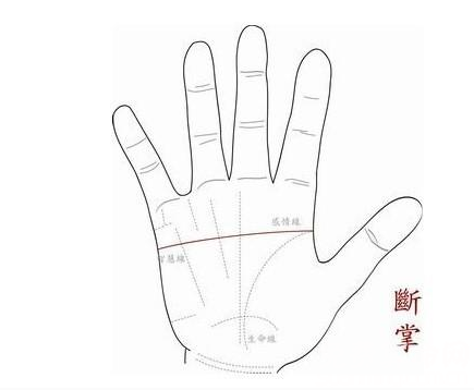 女人手纹的财库 女人手相富贵命的特征