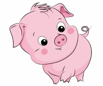 2021年11月属猪男运势运程解析 十一月的肖猪收入稳定
