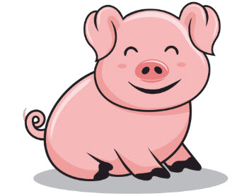 2021年11月属猪男运势运程解析 十一月的肖猪收入稳定